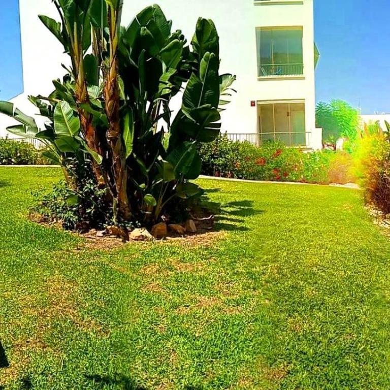 DiCaprio - Sunset Ritual incl I by MovieStar Holidays - Apartamento de 1 dormitorio - 94