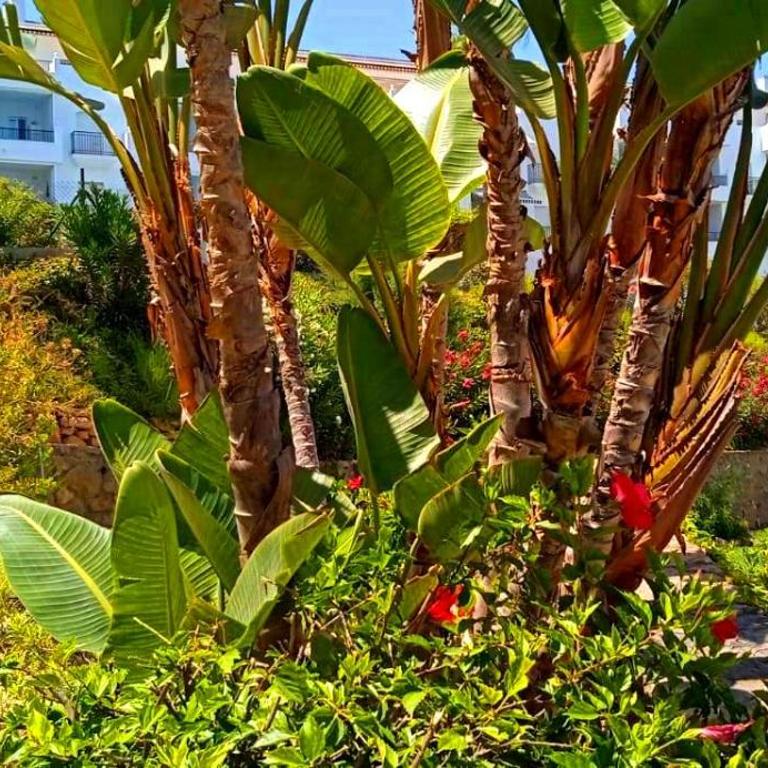 DiCaprio - Sunset Ritual incl I by MovieStar Holidays - Apartamento de 1 dormitorio - 95