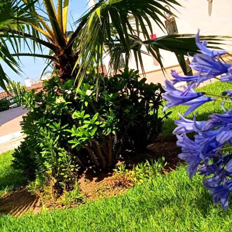 DiCaprio - Sunset Ritual incl I by MovieStar Holidays - Apartamento de 1 dormitorio - 8