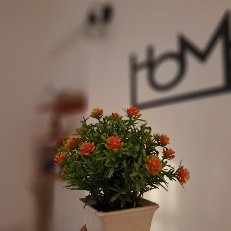 Rincon de Golu - Villa General Belgrano - Casa de 2 dormitorios - 14