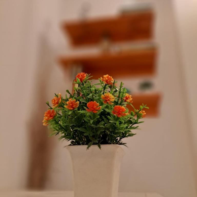 Rincon de Golu - Villa General Belgrano - Casa de 2 dormitorios - 15