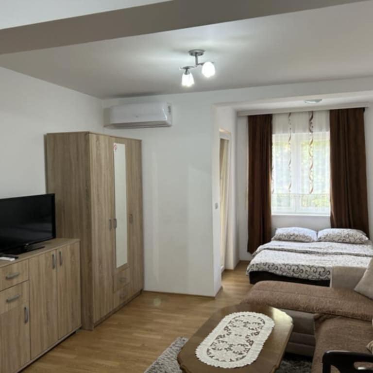 Renome apartmani - Studio sa Terasom - 8