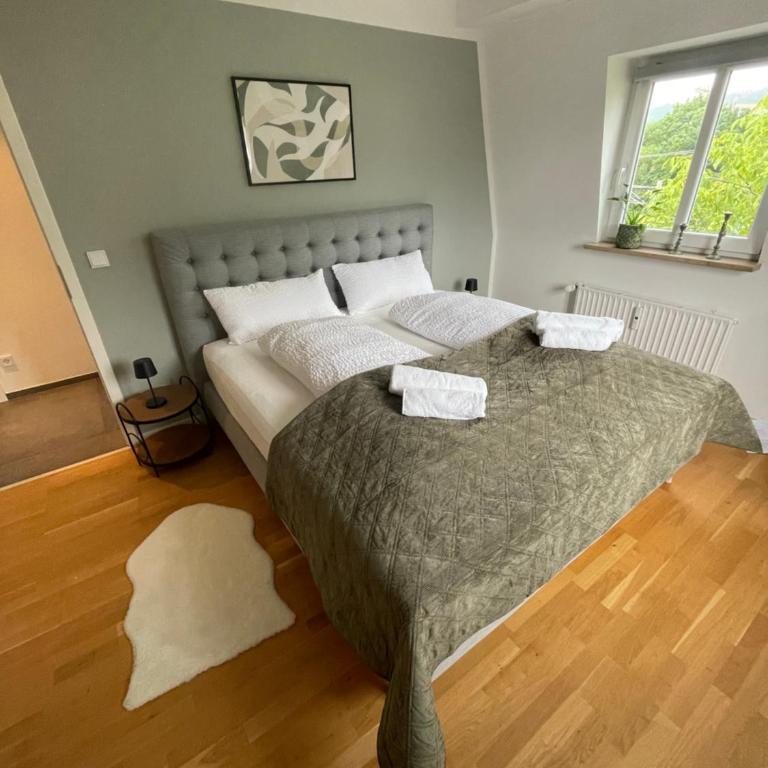 Ferienwohnung Bad Reichenhall in zentraler Lage mit Bergblick - Apartment mit 2 Schlafzimmern - 1