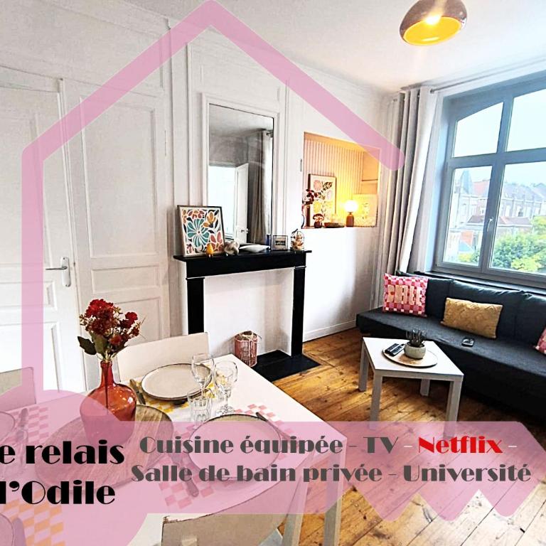 Appartement Charmant - Lille Vauban - Proche Metro - Universite - Appartamento con 1 Camera da Letto - 1