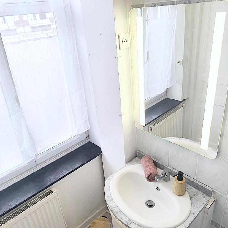 Appartement Charmant - Lille Vauban - Proche Metro - Universite - Appartamento con 1 Camera da Letto - 14