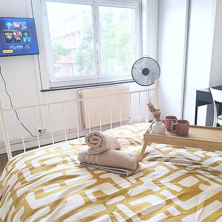Appartement Charmant - Lille Vauban - Proche Metro - Universite - Appartamento con 1 Camera da Letto - 43
