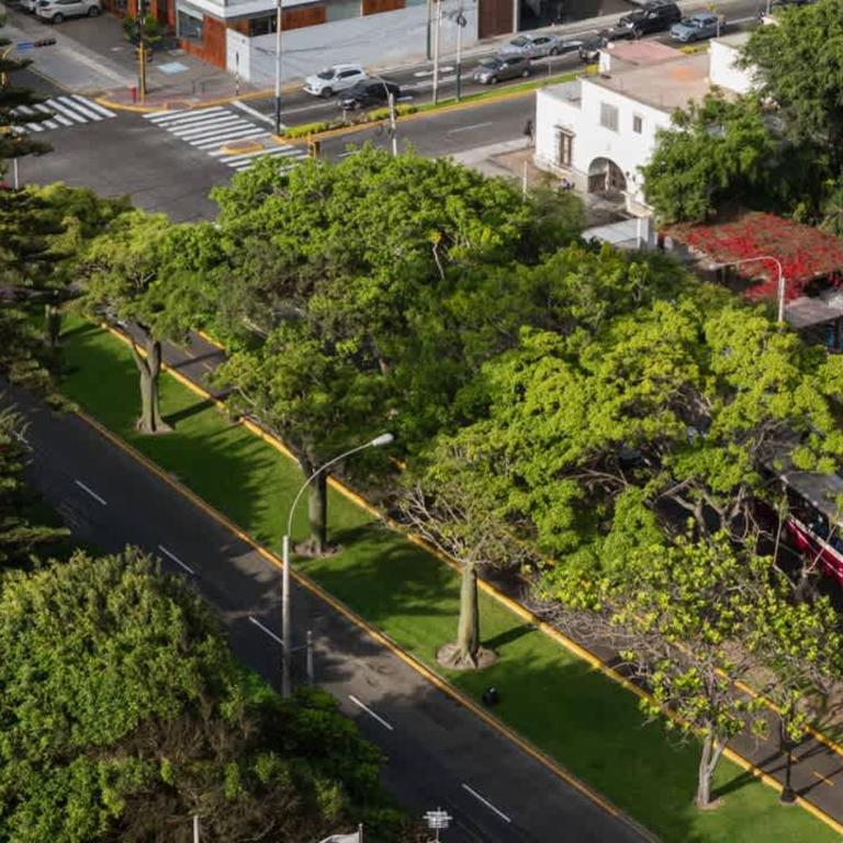 Modern 1BR City View & Gym in San Isidro - Apartamento - 72