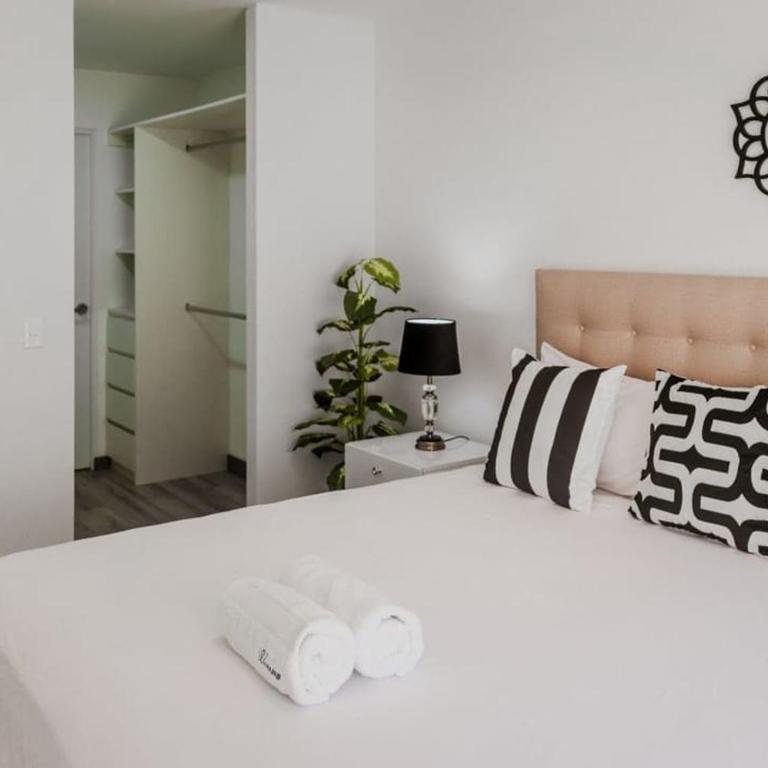 Elegant & Cozy 3BR Terrace in Miraflores - Apartamento - 24