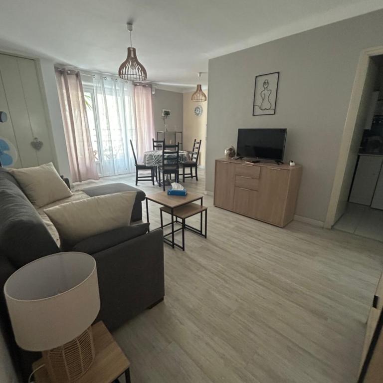 Appartement T2 tout confort Amélie-les-Bains - Appartement 1 Chambre - 14