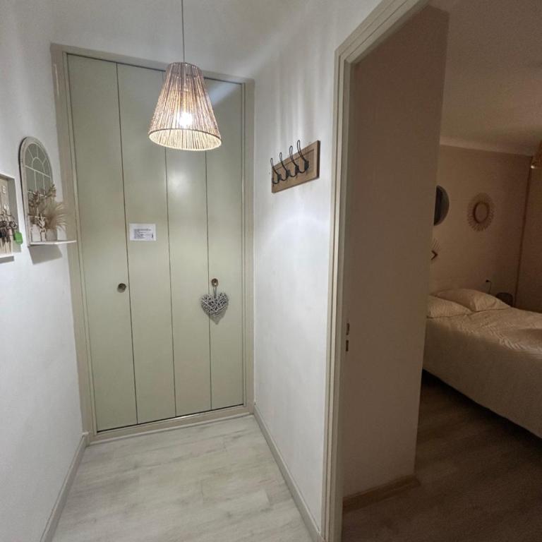 Appartement T2 tout confort Amélie-les-Bains - Appartement 1 Chambre - 17
