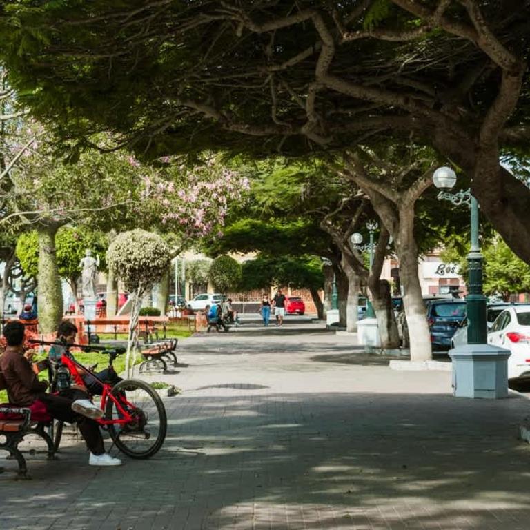 Cozy 2BR Relaxing Vibe - Apartamento - 3