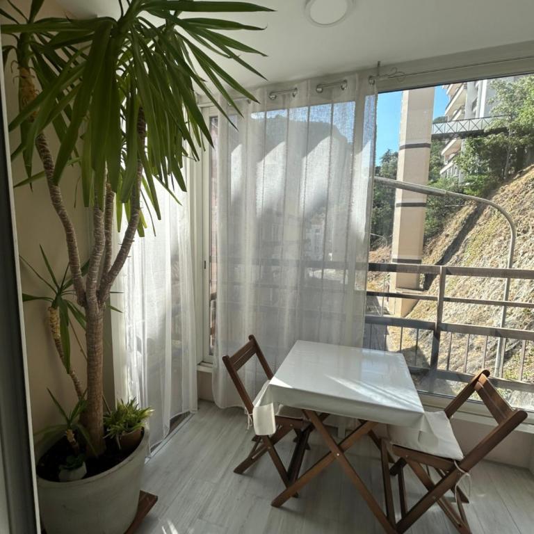 Appartement T2 tout confort Amélie-les-Bains - Appartement 1 Chambre - 16