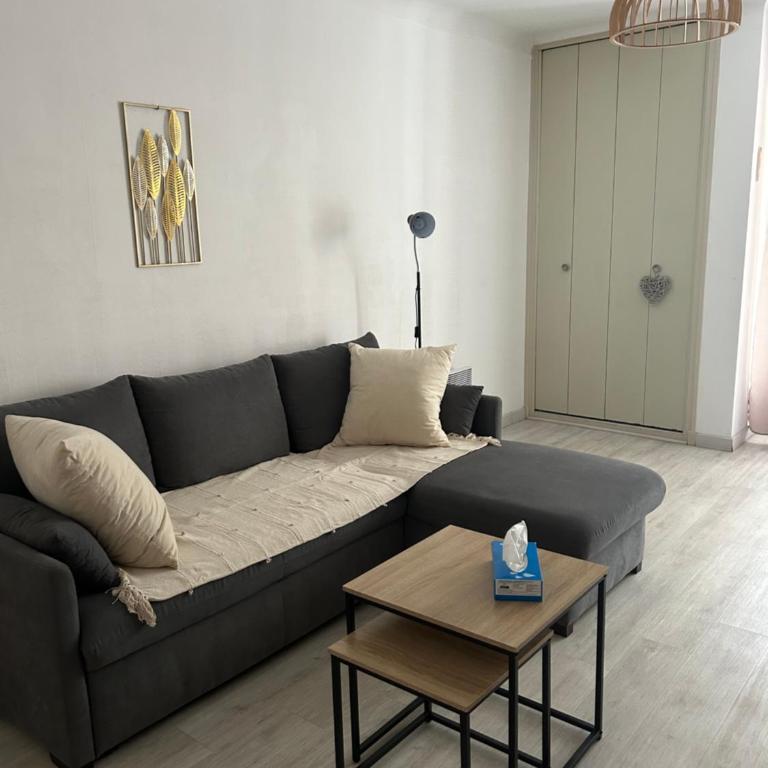 Appartement T2 tout confort Amélie-les-Bains - Appartement 1 Chambre - 12