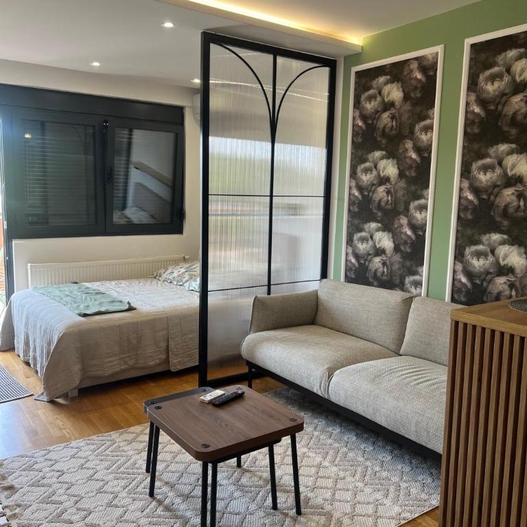 Studio Crnjanski - Apartman sa 1 Spavaćom Sobom - 1
