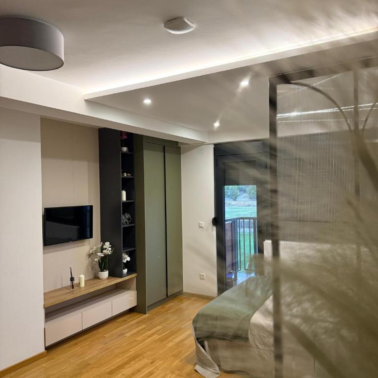 Studio Crnjanski - Apartman sa 1 Spavaćom Sobom - 3