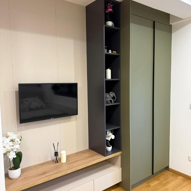 Studio Crnjanski - Apartman sa 1 Spavaćom Sobom - 6