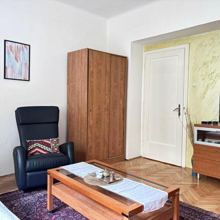 Centar Sarajevo Main Street Apartment - Apartman sa 1 Spavaćom Sobom - 8