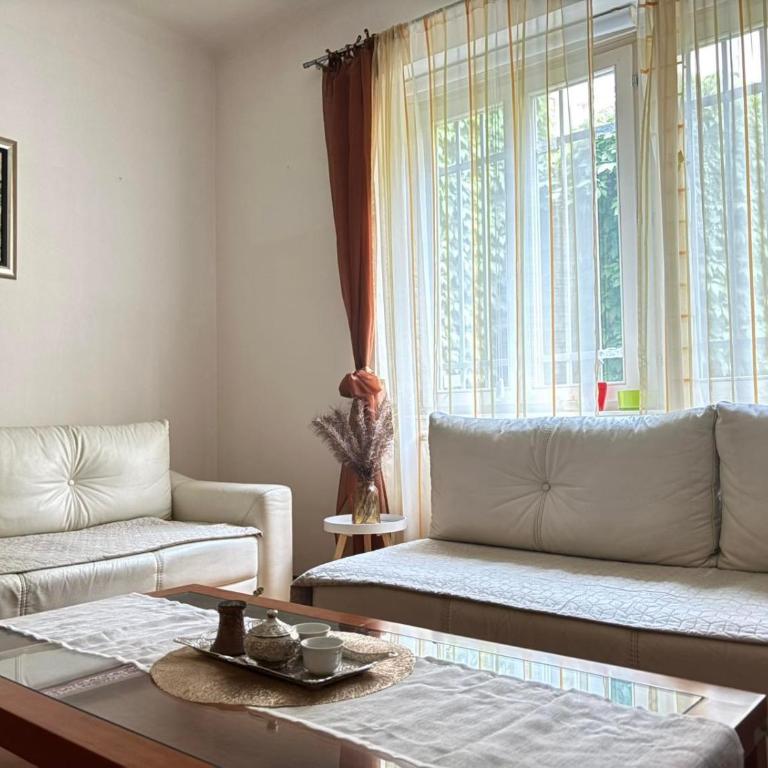 Centar Sarajevo Main Street Apartment - Apartman sa 1 Spavaćom Sobom - 6