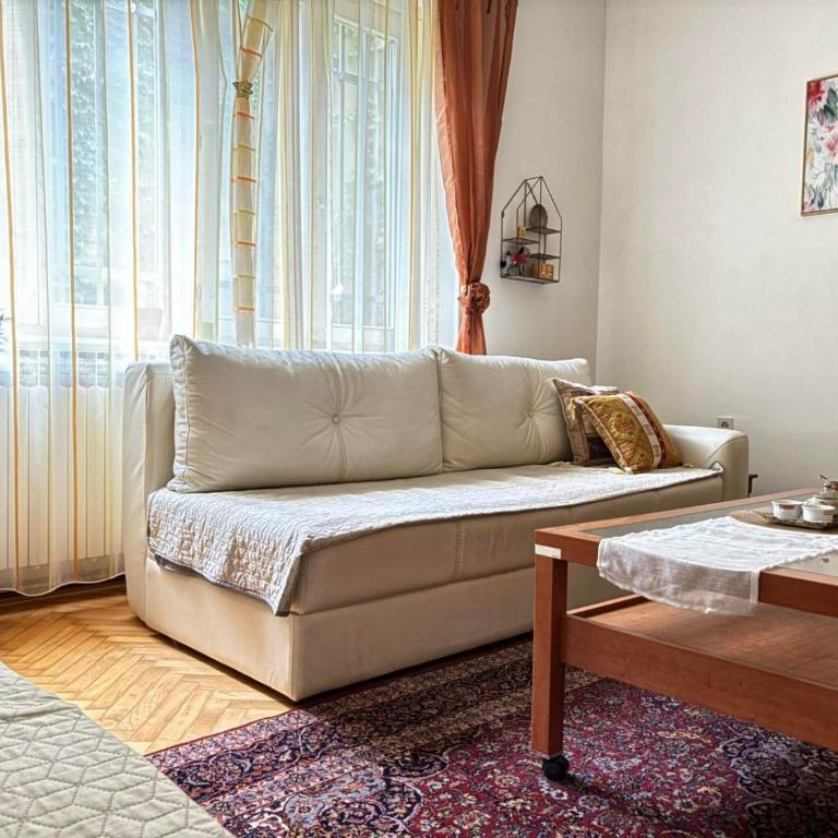 Centar Sarajevo Main Street Apartment - Apartman sa 1 Spavaćom Sobom - 5