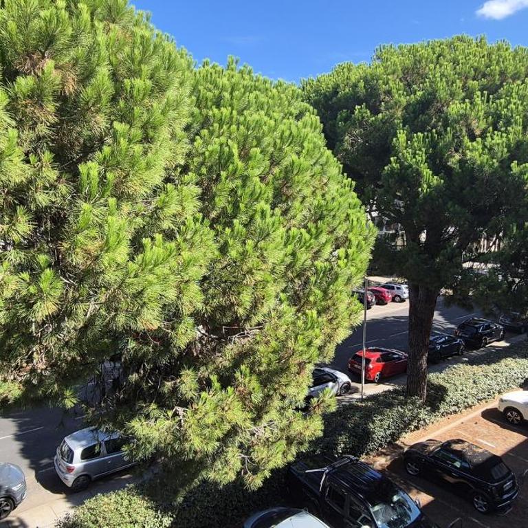 T2 43m2 , centre ville, parking - Apartamento de 1 dormitorio - 2
