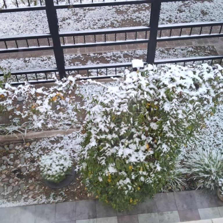 COMPLEJO LOS MOROS - Apartamento de 2 dormitorios - 45