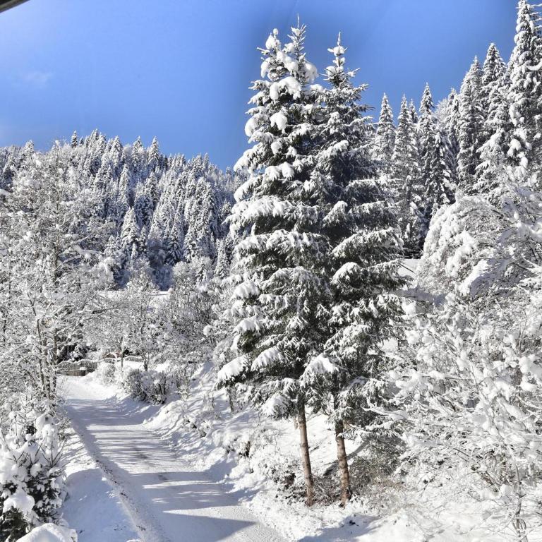 Im Wald - Chalet - 30