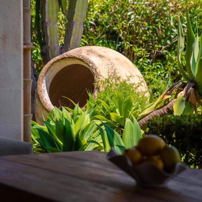 Finca Can Daniel - Pool - Außenküche - Garten - Casa de 3 dormitorios - 50
