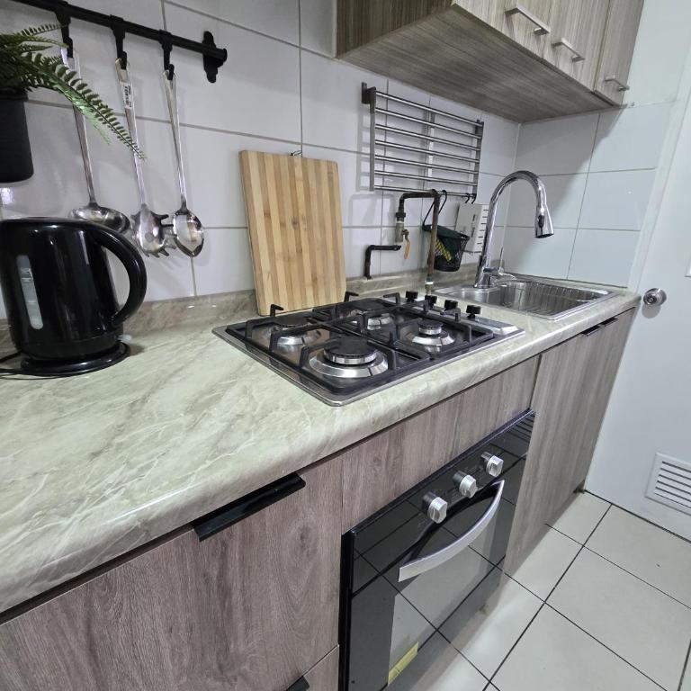 Espacio moderno y acogedor departamento en Rancagua - Apartamento - 19