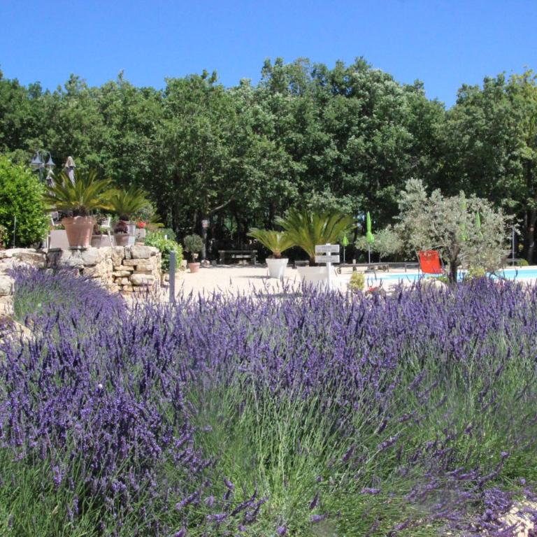 Les Chambres du Hameau , une Parenthèse Provençale - Habitación Doble con vistas al jardín - 5
