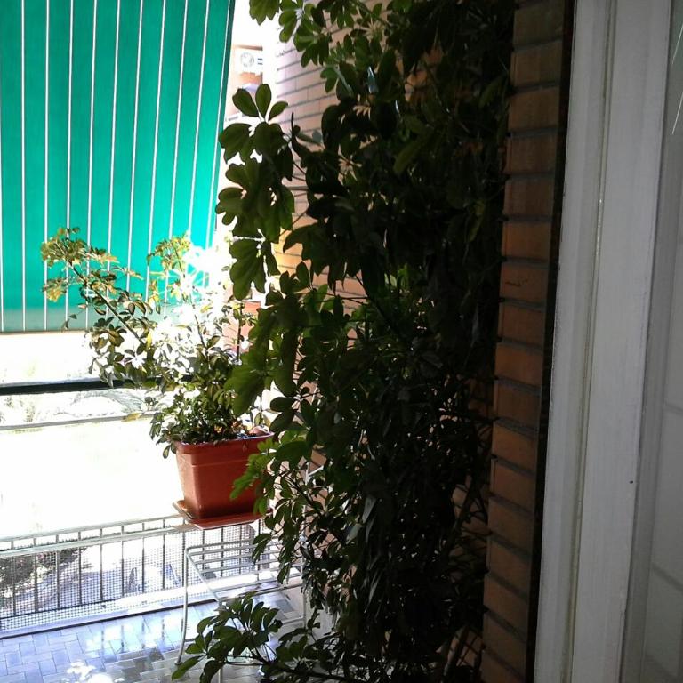 Olimpica Relais guest house - Camera Tripla Deluxe - 20