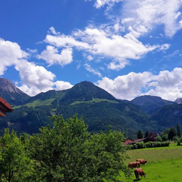 Ferienwohnung Höfler - Appartamento con Vista Montagna - 30