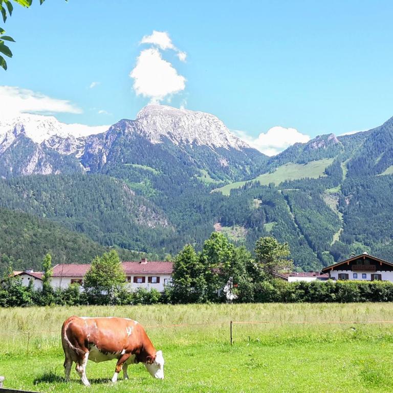 Ferienwohnung Höfler - Appartamento con Vista Montagna - 29