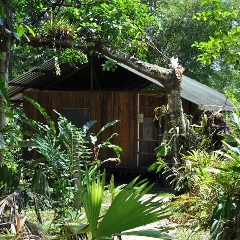 Hakuna Matata Amazon Lodge - Standard Double or Twin Room with Garden View - 2