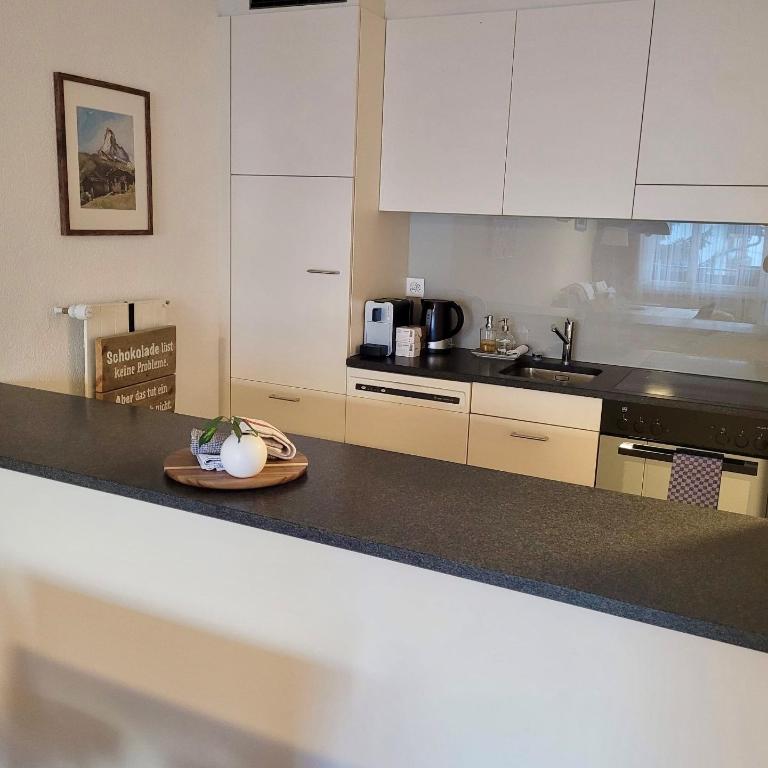 Appartements Elan - 2.5 room apartment with Matterhorn view - 8