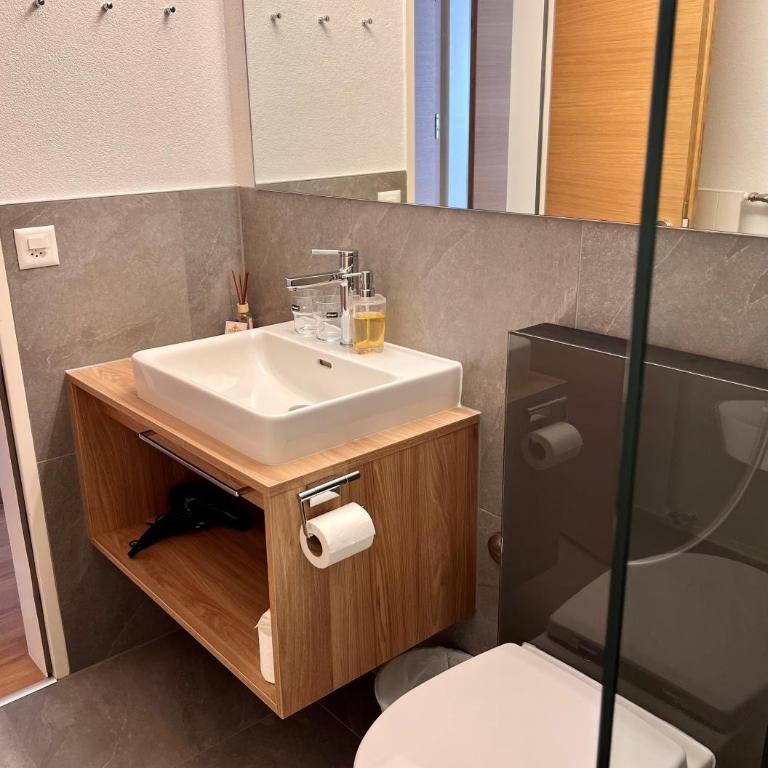 Appartements Elan - 2.5 room apartment with Matterhorn view - 12
