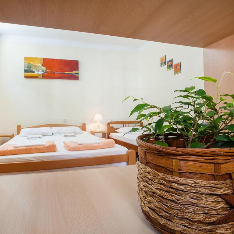 Apartments Iva - Studio - 5