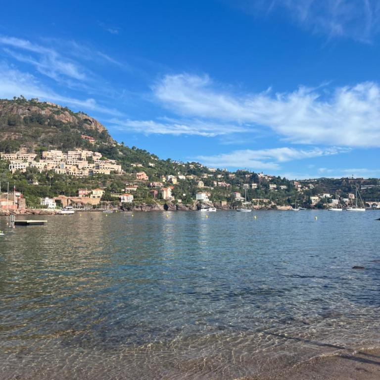 Appart T2 bord de mer - Appartement 1 Chambre - 21
