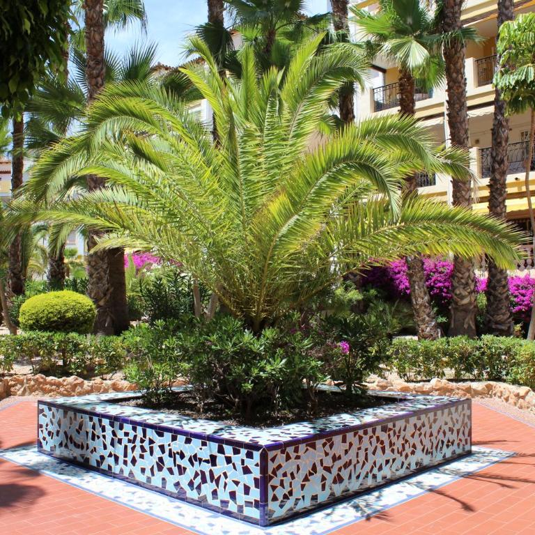 Aldea del Mar - Deluxe Apartment - 21