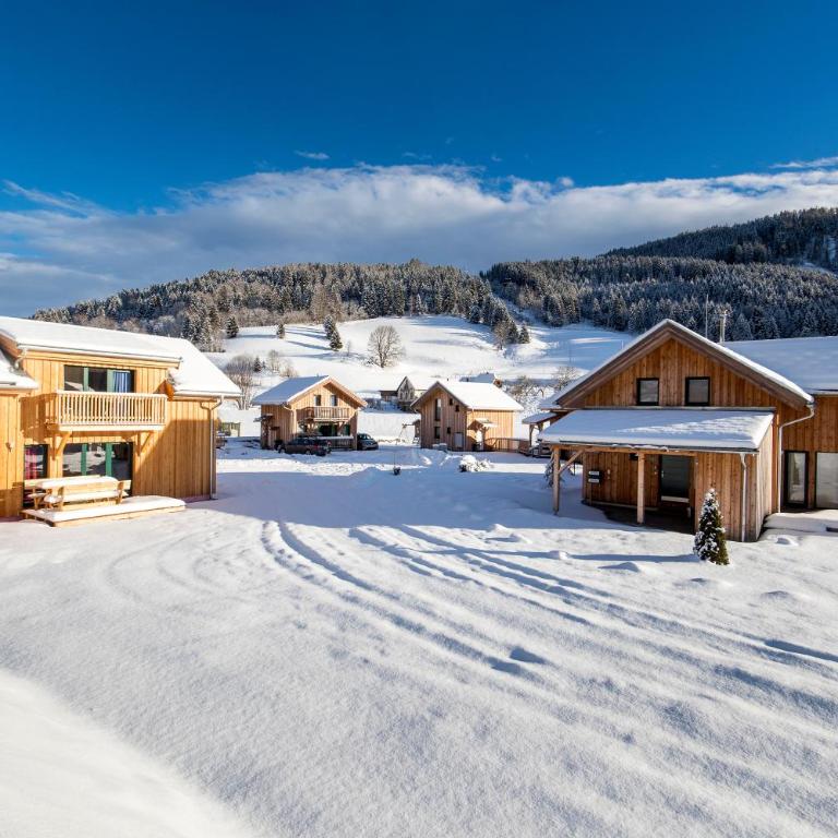 Woody Park Feriendorf Murau - Chalet - 2
