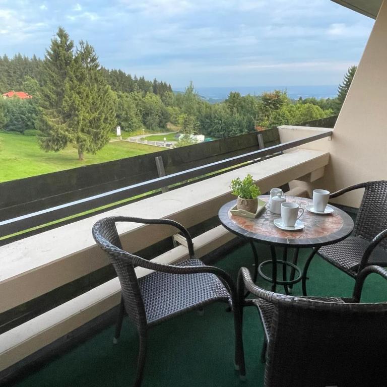 Ausblick in den Bayerischen Wald - Moderne Ferienwohnung - Apartment mit 1 Schlafzimmer - 16