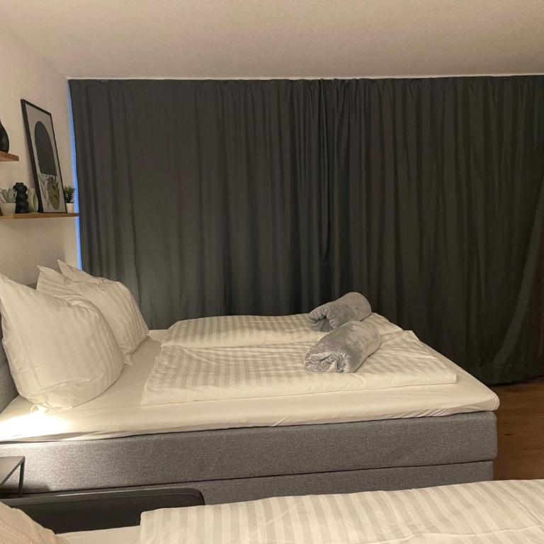 Ausblick in den Bayerischen Wald - Moderne Ferienwohnung - Apartment mit 1 Schlafzimmer - 6