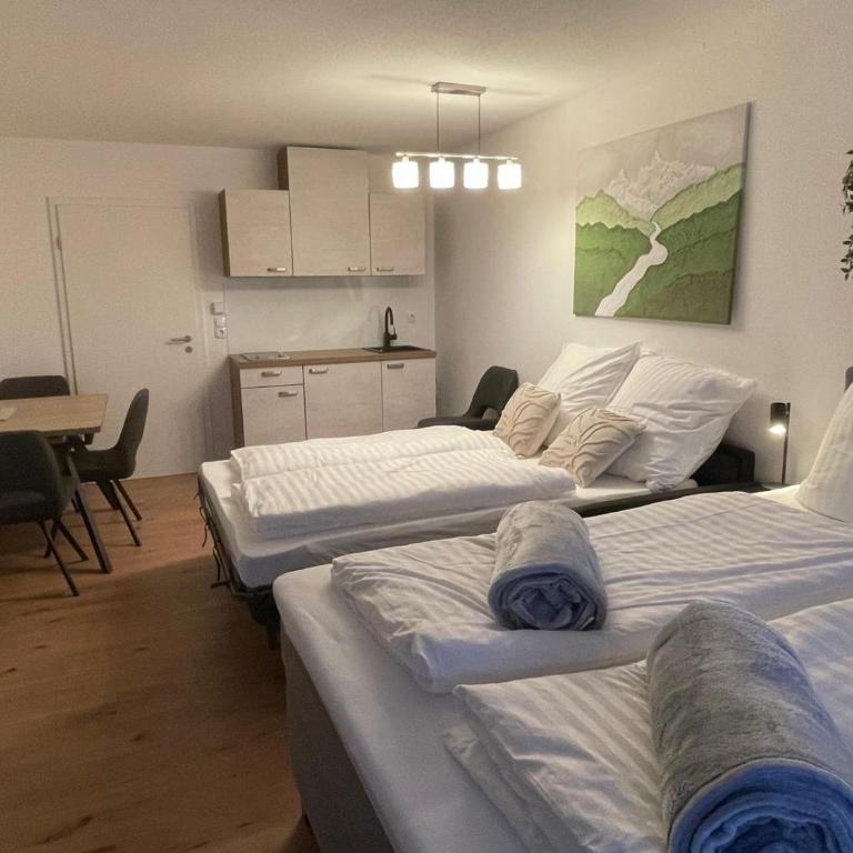 Ausblick in den Bayerischen Wald - Moderne Ferienwohnung - Apartment mit 1 Schlafzimmer - 4