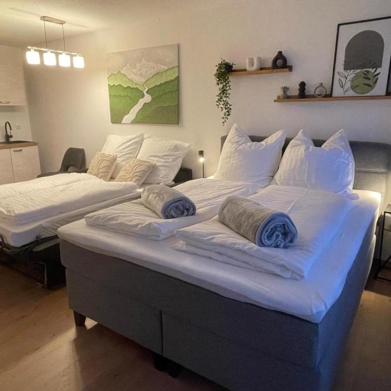 Ausblick in den Bayerischen Wald - Moderne Ferienwohnung - Apartment mit 1 Schlafzimmer - 32