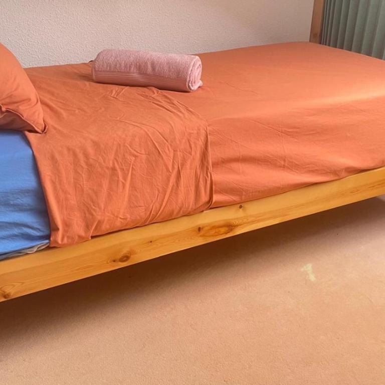 Appartement en centre ville de Guillestre - Apartamento de 2 dormitorios - 16