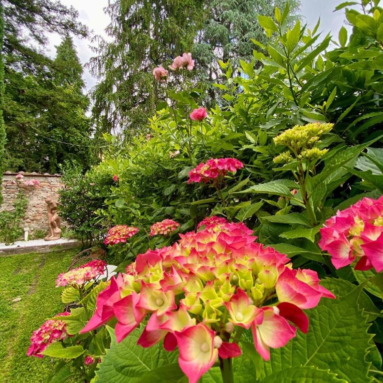 Gelso Moro Fashionable Stay in the Old Garden - Appartamento con 1 Camera da Letto - 7
