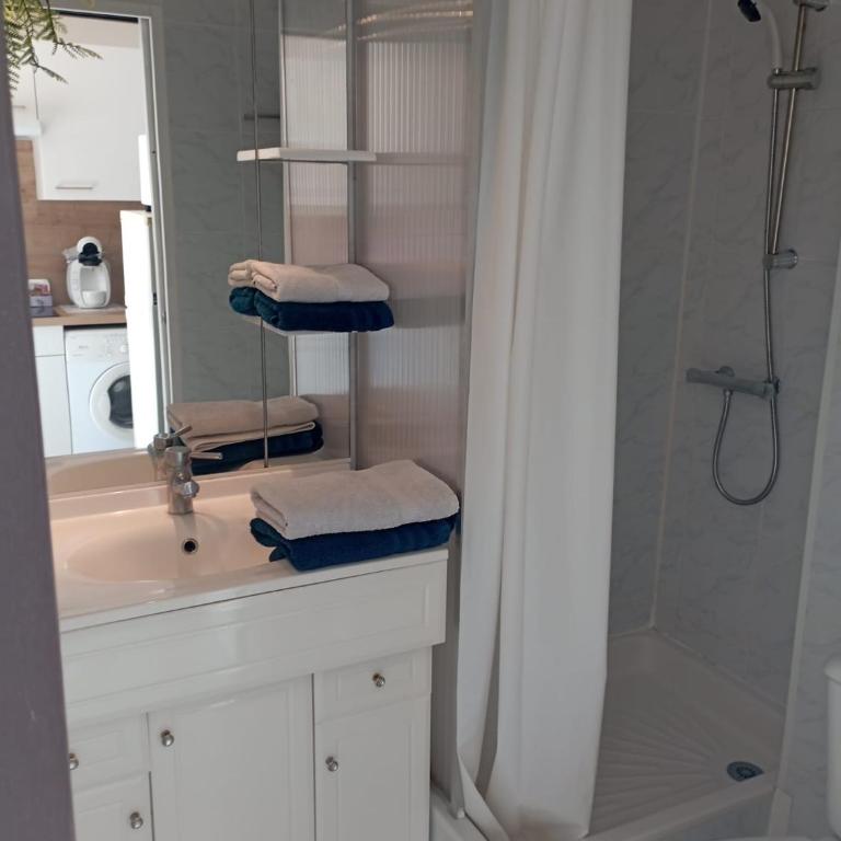 Marina St Cyprien - Appartamento con 1 Camera da Letto - 9