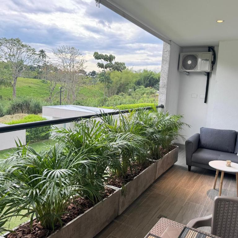 Apartasuite 206 - Two-Room Apartment - 1