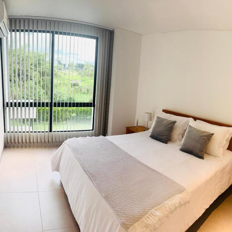 Apartasuite 206 - Two-Room Apartment - 5