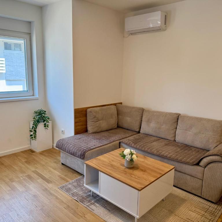 Tina Apartman Sokobanja - Apartment - 13