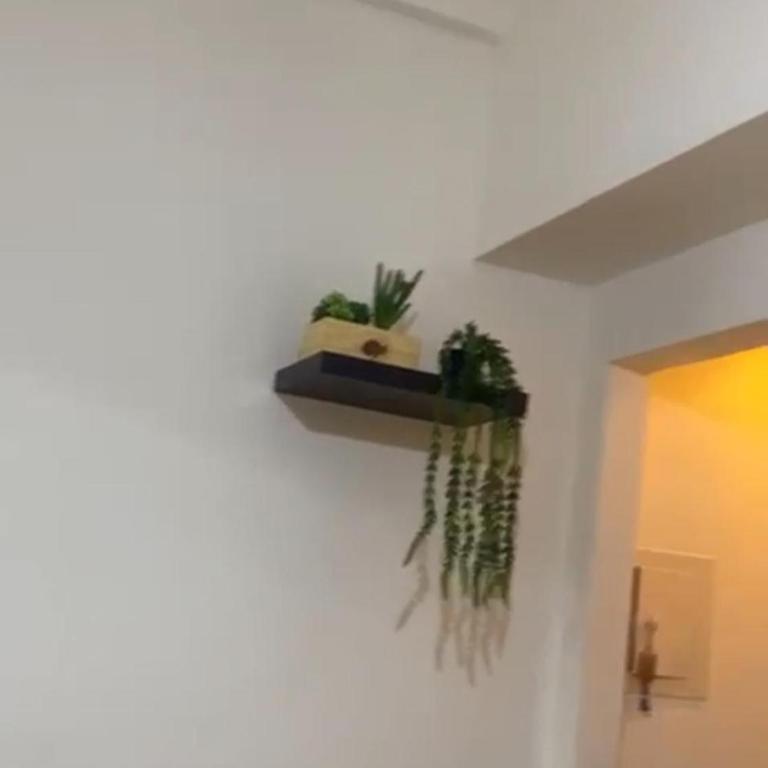 Departamento Adrián - Apartamento de 2 dormitorios - 15
